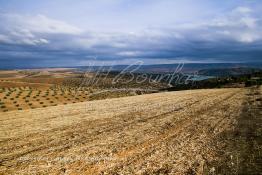 Image du Maroc Professionnelle de  Le Barrage Allal Al Fassi est situé dans la Province de Sefrou sur Oued Sebou avec un volume de stockage de 63.7 Mm3, il contrôle un bassin versant de 5.400 km2. Ce Barrage a été mis en service en 1990. But de l'ouvrage  production d'électricité, irrigation et protection contre les crues, Jeudi 8 septembre 2005. (Photo / Abdeljalil Bounhar) 